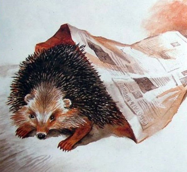 Ёж — пришвин м.м.