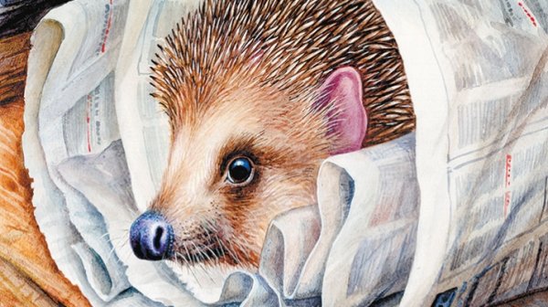 Михаил пришвин еж