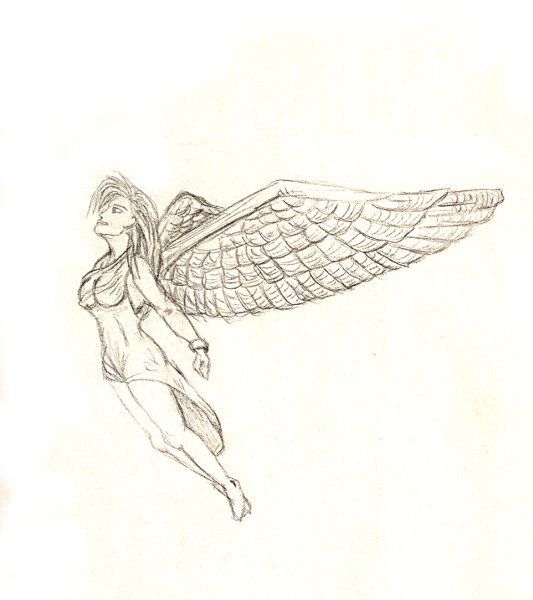 Крылья иллюстрация