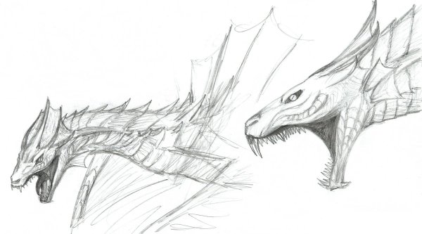 Драконы из Скайрима для срисовки