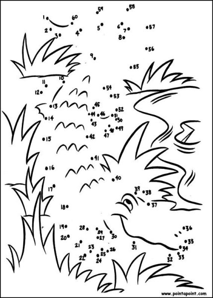 Раскраски по номерам сложные