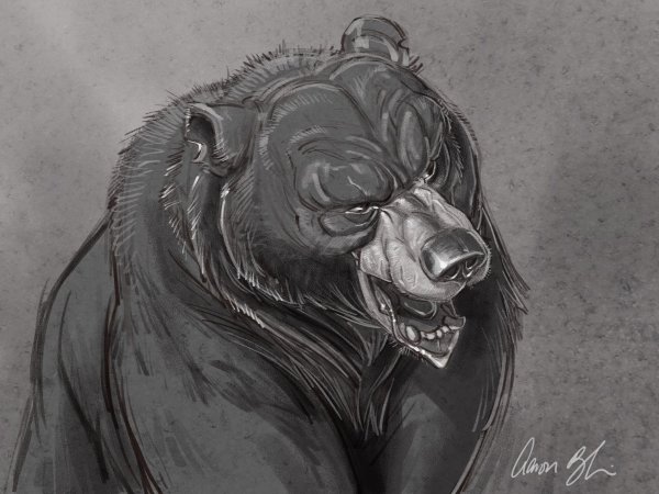 Страшный мультяшный медведь