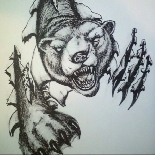 Медведь эскиз