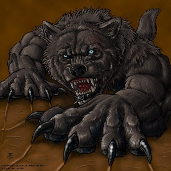 Медведь арт карандашом