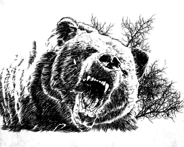 Злой медведь