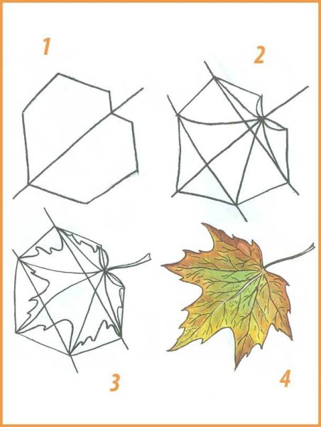 Поэтапное рисование листа клена 3 класс