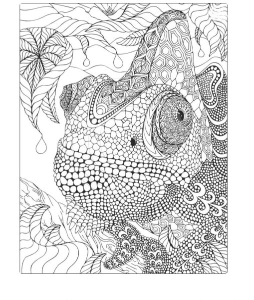 Раскраски сложные