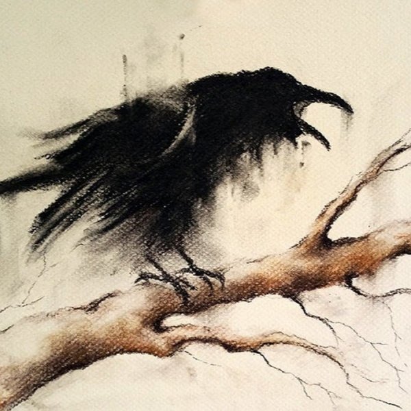 Ворон углем