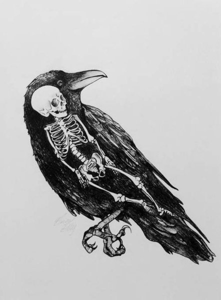 Клэр ворон смерти