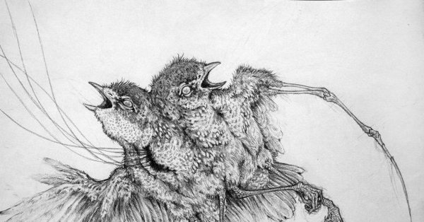 Скетчи ужасной птицы