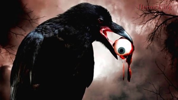 Гарпия птица мифология