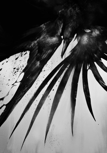 Черный ворон рисунок карандашом