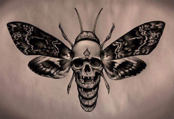 Бражник бабочка мертвая голова тату
