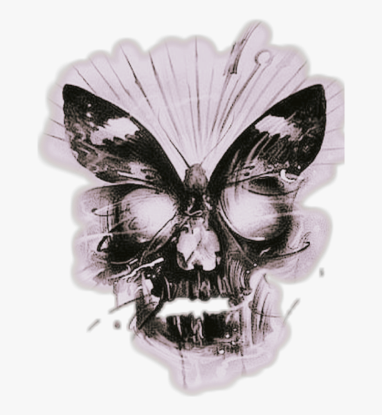 Мотылек с черепом