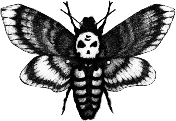 Бабочка Бражник мертвая голова рисунок
