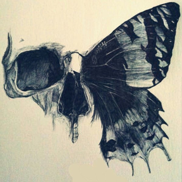 Бабочка с черепом
