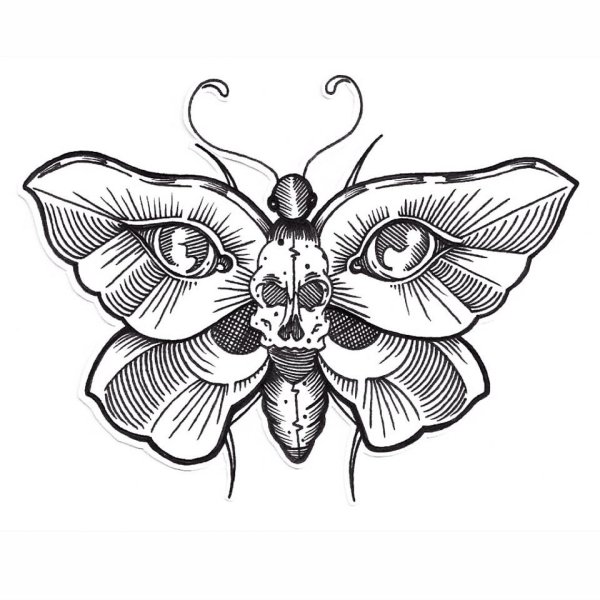 Голова бабочки рисунок