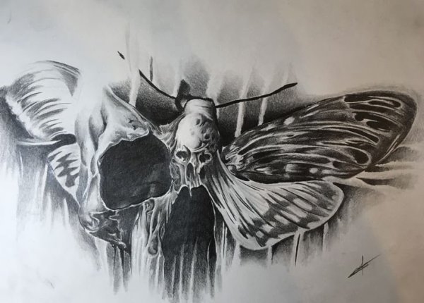 Мотыльки страшные нарисованные