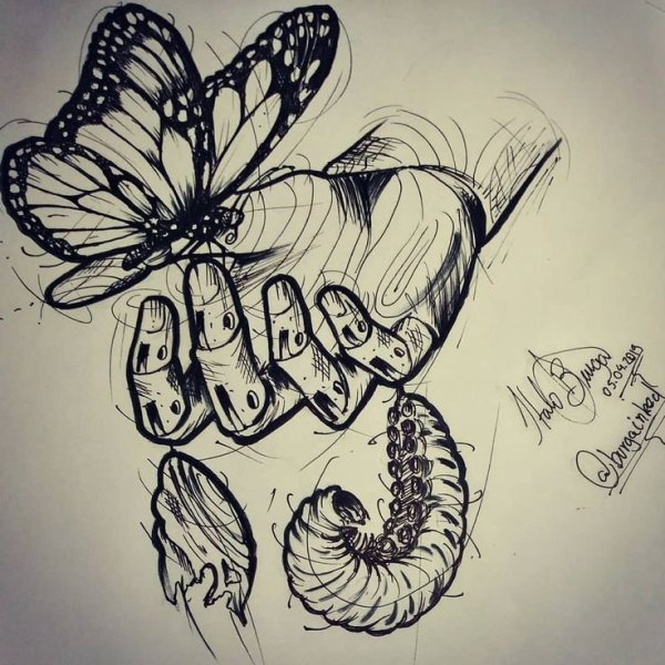 Кокон эскиз тату