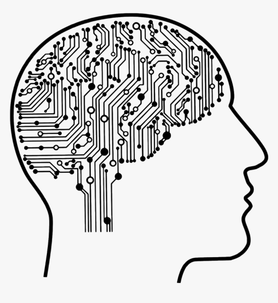 Мозг ум интеллект