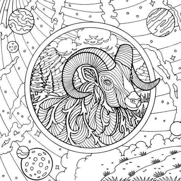 Антистресс знаки зодиака