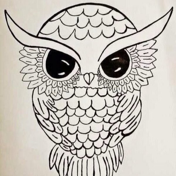 Сова рисунок для срисовки