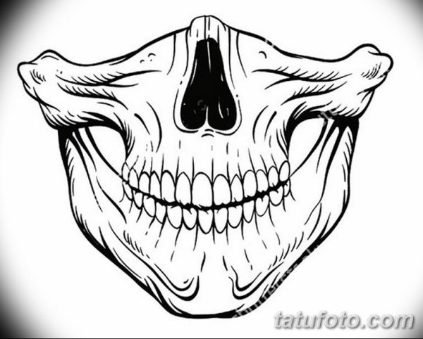 Зубы акулы на авто