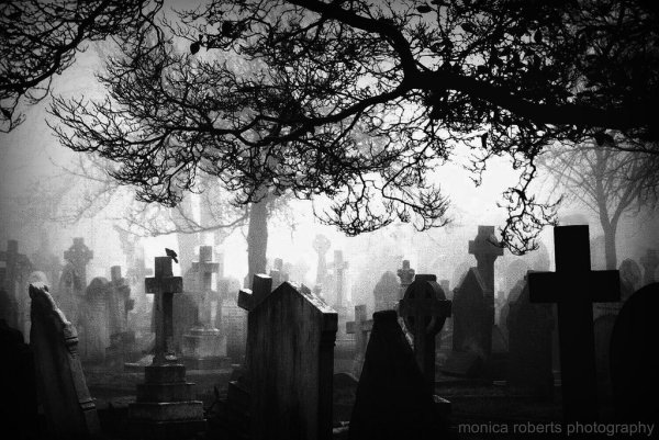 Кладбище черно белое
