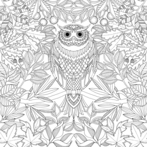 Раскраска антистресс лиса