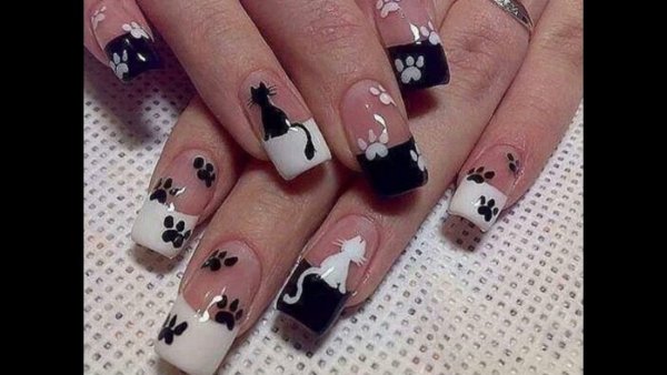 Французский маникюр с кошками