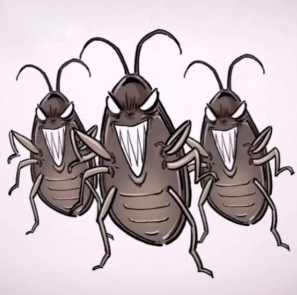 2 Таракана веселых