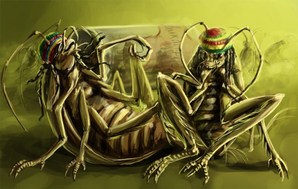 Таракан наркоман