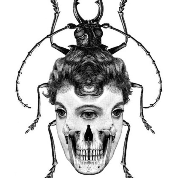 Таракан эскиз тату