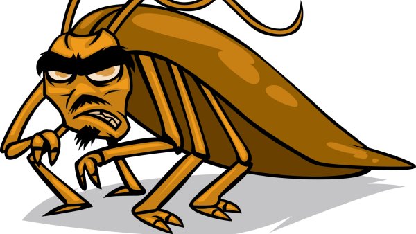 Злобный таракан