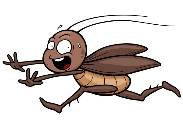 Насекомые убегают