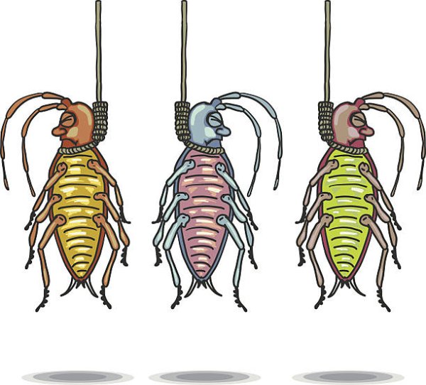 Мертвый таракан вектор