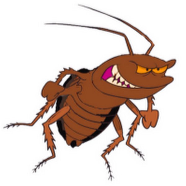 Усатый таракан