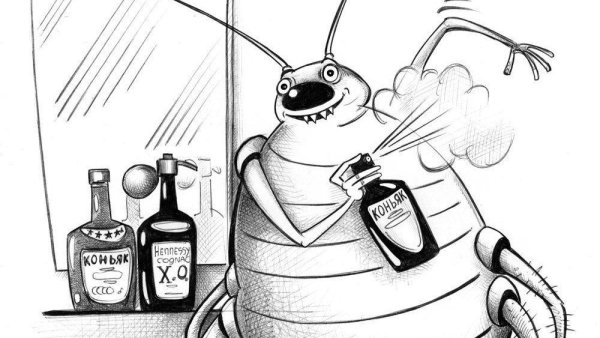 Тараканы мультяшные