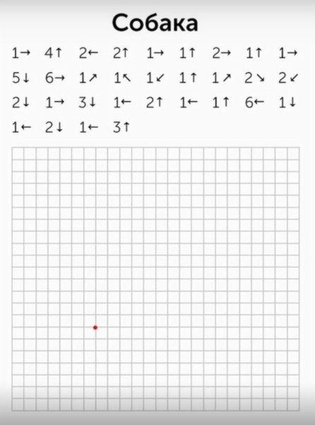 Клетка для графического диктанта для дошкольников 6-7 лет