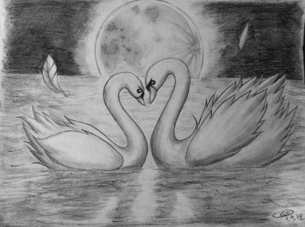 Лебедь карандашом