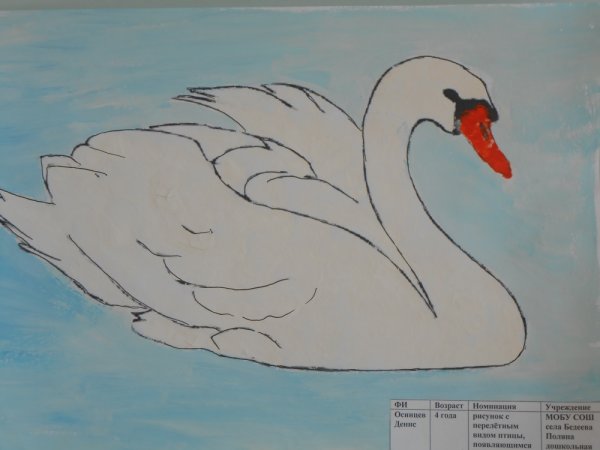 Рисунок лебедя для срисовки