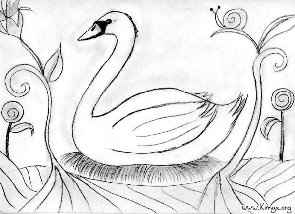 Дикие лебеди рисунок