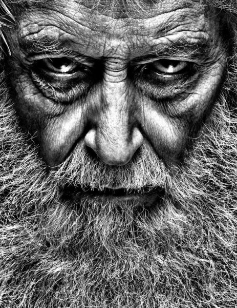 Элвин Шварц страшные истории