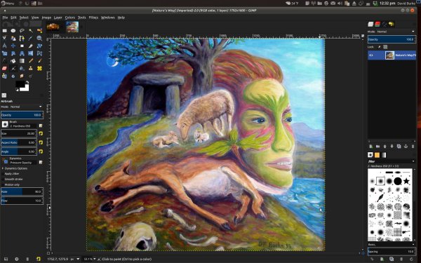 Растровый графический редактор gimp