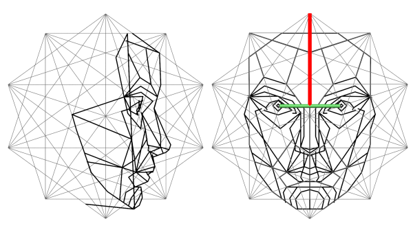 Маска золотого сечения Марквардт