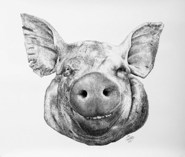 Свинка Пеппа скример