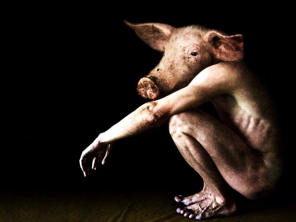 Злой поросенок