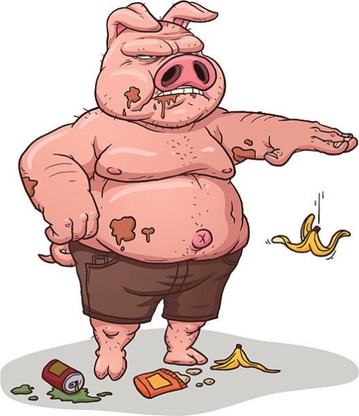 Морда поросенка