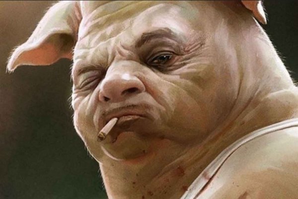 Поросенок живопись