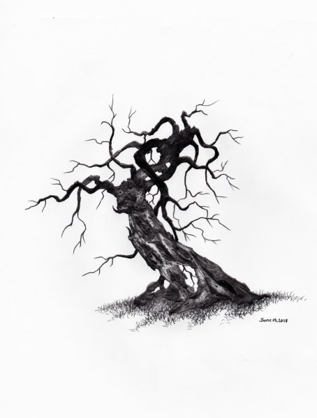 Засохшее дерево